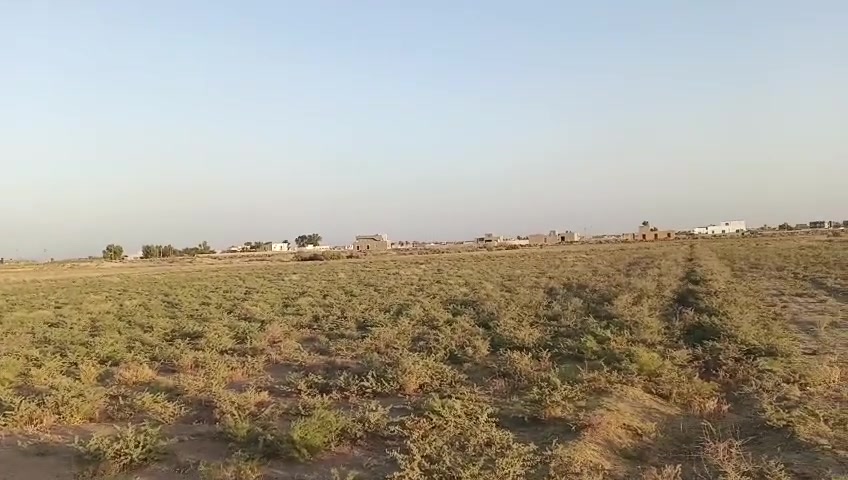 الرمادي • ٣ دوانم • طابو زراعي
