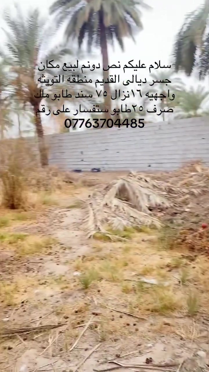 أرض • جسر ديالى القديم • ٣٧٥م