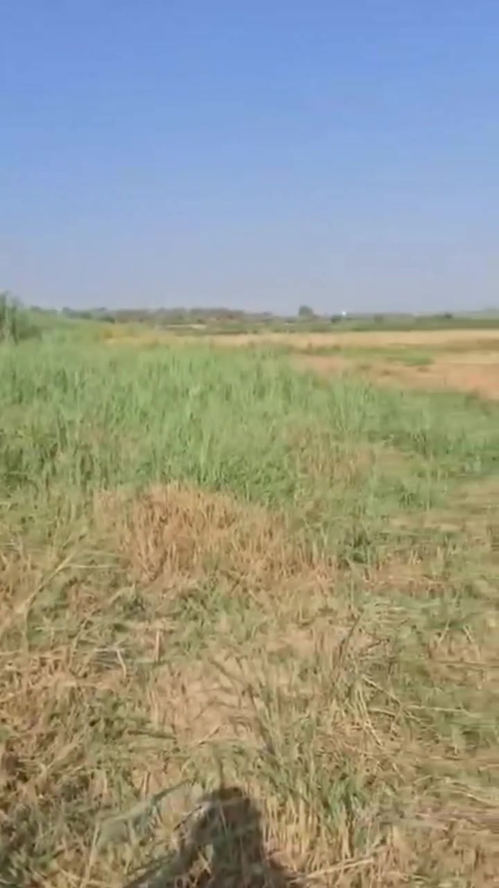 سلام عليكم 
بخصوص نص دونم هذه تصوير توضيحي للي راسلوني عليه 
نص دونم بل حر الصغير سعره 85 وبيه مجال من المالك مباشرة للتواصل والاستفسار مراسله على الخاص او على رقم واتس اب ***********
