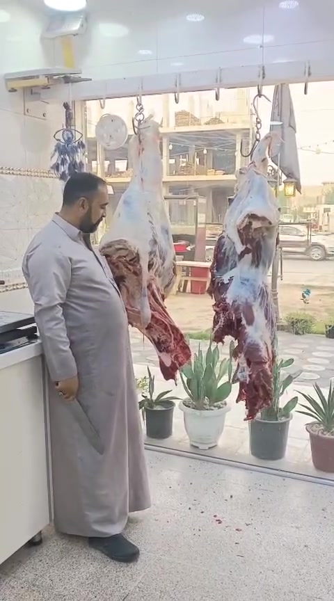 لحم عجل • المسيب • حي المعلمين