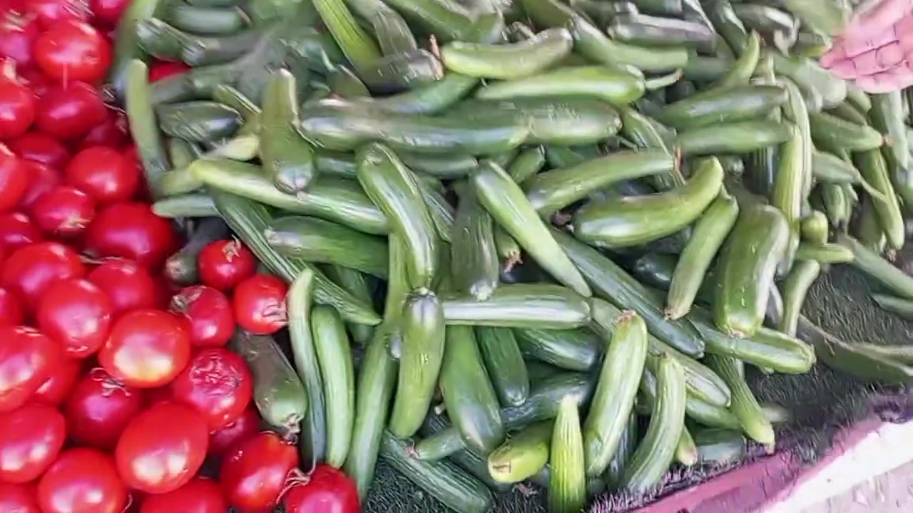 مسواك • بلاش • سبع نيسان