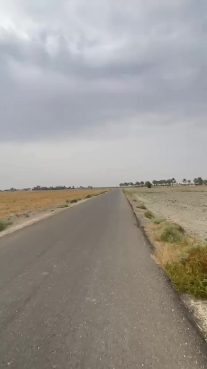 التاجي • الشيخ عامر • ١٦دونم