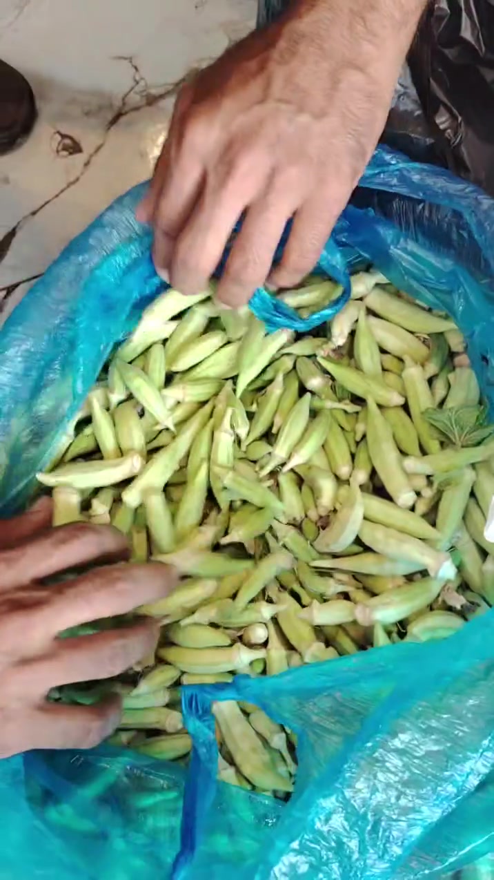 #ماكو_داعي_تطلع_من_بيتك_خلي_مسواكك_🍅🥬 _يوصل لبابك! 🚪💚
#التوصيل_يشمل_جميع_مناطق_السماوه_بسعر_رمزي_وبوقت_قياسي 🚚⏱

#عنواننا_السماوه_منطقة_٣٦_شارع_السيد✅🛒
‼️#يمكنك التحقق من الأسئلة الشائعة لدى زبائننا في الخاص
