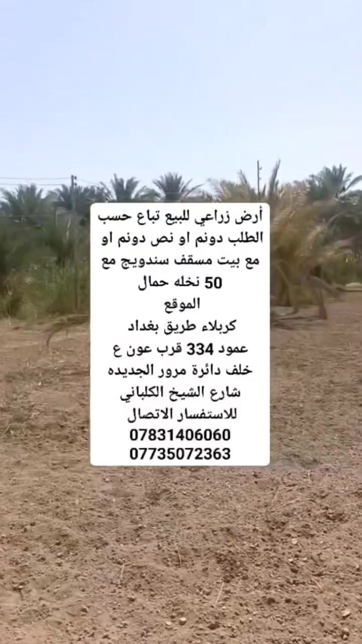 ٢ دونم • كربلاء عمود ٣٣٤ • نخيل ٥٠