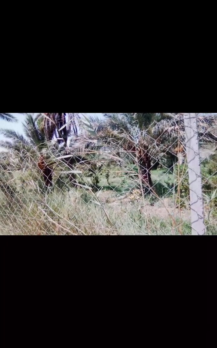 دونم للبيع في الخيرات ابو عويجيله متوفر فيه كل الخدمات 
للستفسار اتصل على رقم ***********

