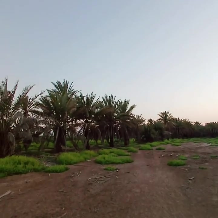 السلام عليكم اللبيع خمسه دونم طابو زراعي سند 25تحويل باسمك المشتري مخدومه بالكامل سعر دونم 140 وبي مجال الموقع بغداد الراشديه قرب البحيره او شارع المهندسين اللاستفسار ***********
