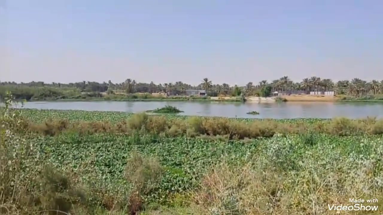 السلام عليكم عروضنا اليوم مميرة أقساط اونقد للاستفسار الاتصال على الرقم *********** او *********** وات ساب العرض الأول قطع اراضي طابو زراعي سند 25 كربلاء طوريج الخيرات ٢١٠ متر سعرها ب١٧ مليون كافة الخدمات كهرباء وماء وتبليط ومدارس واسواق وعدنا دونمين الا ربع على الشط مباشر كافة الخدمات كهرباء وماء سقى واسالة وعن التبليط ١٥٠ متر سعر الدونم الواحد ٦٥ مع المجال و بخدمتكم انشاء الله نرجوا منكم دعم ومشاركة الصفحة تحياتي للجميع
