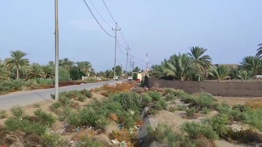 طابو زراعي • سند ٢٥ • دونمين