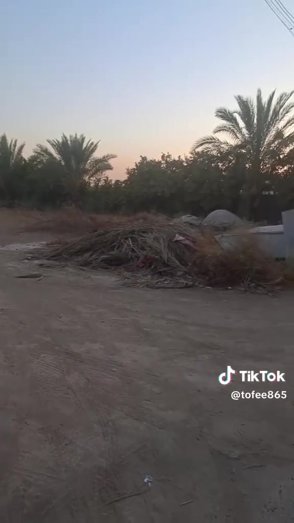 🌴🔥 فرصة استثمارية نادرة جداً – من صاحب الأرض مباشرة 🔥🌴
🏢 مكتب النور للعقار يقدم لكم فرصة مميزة للاستثمار في موقع رائع:
📍 الموقع: جسر ديالى القديم – منطقة التويثة الغربية
📐 المساحة: ١١٢٥م²
📏 الواجهة: ٢٥م
📏 النزال: ٤٥م
📜 ملك صرف زراعي – سند ٢٥ – باسم شخص
🌳 الأرض مشجرة ومثمرة وتحتوي على أشجار الحمضيات والنخيل، مما يجعلها فرصة مناسبة لمن يبحث عن أرض للاستثمار والاستفادة منها على المدى البعيد.
💧 واصل ماء
⚡ كهرباء وطني
🔌 سحب مولد
🛣️ تبليط
⭐ موقع مميز + مساحة كبيرة + أشجار مثمرة + توفر الخدمات الأساسية
كل هذه المقومات تجعل الأرض فرصة تستحق المشاهدة والمعاينة على الطبيعة.
🤝 البيع من صاحب الأرض مباشرة، ومكتب النور للعقار يتولى التنسيق والمتابعة مع المشتري.
🔥 فرصة لا تتكرر بسهولة… والجاد يقدر قيمة هذه الأرض!
📞 للاستفسار والتواصل عبر واتساب: ***********
🏢 مكتب النور للعقار ثقتكم مسؤوليتنا… والفرصة المناسبة نوصلكم إلها.
