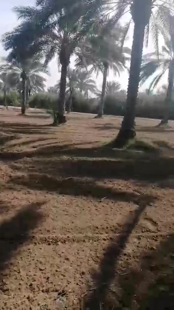 مسيب • دونم • سند ٢٥