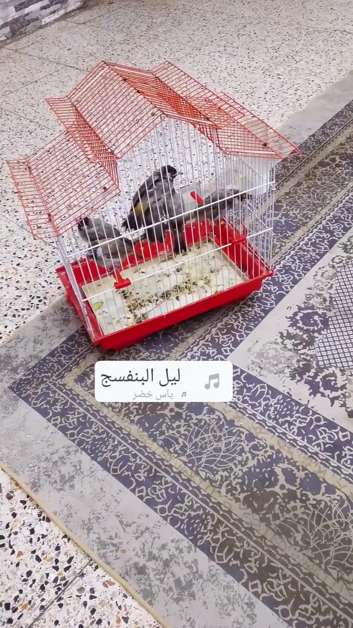 35الف ***********
