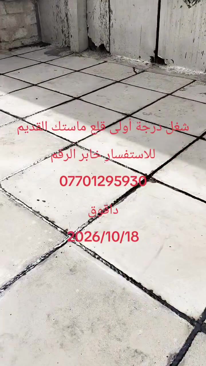 قلع ماستك • درجة أولى • واتساب