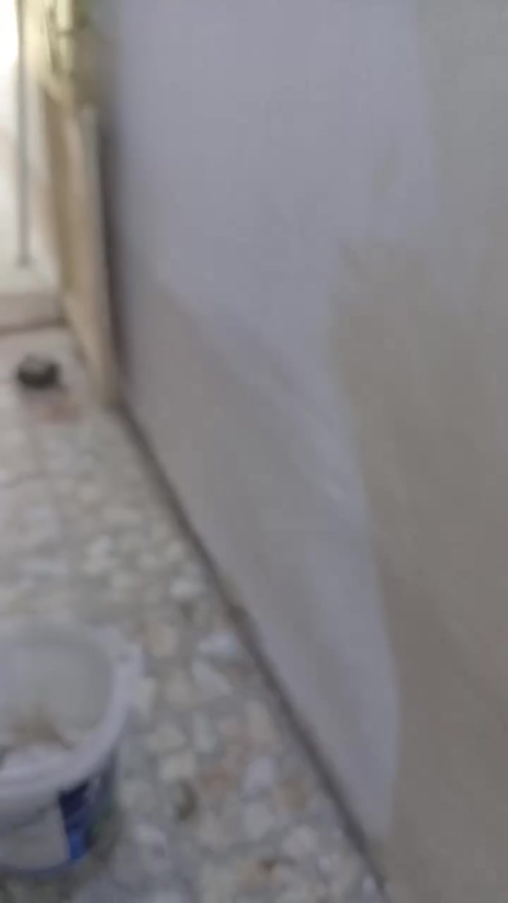 عمل ترميم البيت

تصليح +اخياط الجدار+كهرباء +تئسيس مي+عمل بورسلين الارضيه +نعله+بايات بورسلين الدرج +قشر وتصليح مكانات المرطوبه +صبغ  حداديه + صبغ جدران+ انواع الصباغ 

جوتن +بتك +فاوري + بيواي +مرجان

حسب التفاق ابو البيت

بسعار مناسبه جداا  💵💵💵💵

خادمكم أمير عبدزيد تلفون ***********
نجف الإشراف +كوفه+ مشخاب +ناحيه القادسيه +خان النص  +ام عباسيات+ كربلاء المقدسة
رقم تلفون *********** أمير عبدزيد
