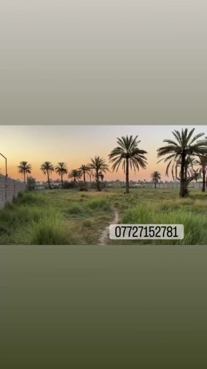 دونم واحد ملك صرف للبيع 
العنوان المدائن سلمان باك شارع سيد علي 
تحويل مباشر بالطابو 
***********

#بغداد_المدائن_الجعاره_شارع_سيد_علي
#للجميع_الكل
