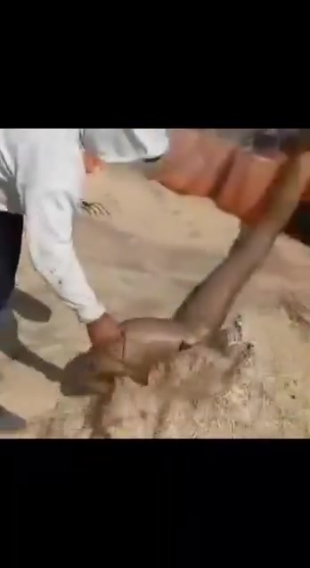 سلام عليكم احبتي الكرام يوجد تبن نضيف ستندر درجه اوله ترس فول وخيط ورده شرط علتفريغ ىبسعار مناسبه جداً واصل جميع المحافظات المذكوره في الشاشه بغداد بابل كربلاء ديوانيه سماوه واسط نجف انتصل ابيك خير ودلل على الرقم ***********   يوجد واتساب
