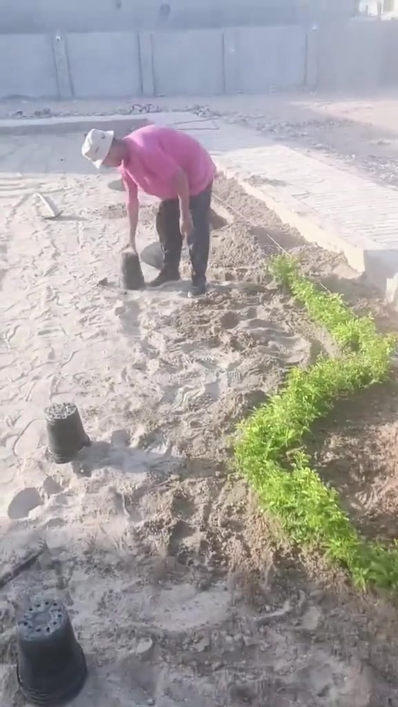 تحتاج فلاح دائمي الحديقتك يعتني بيه موجود فلاح اتصل علينة وادلل 🍇
على الرقم ***********
مستعدين لتصميم الحدائق الداخلية والديكورات
  اتصل علينة ودلل ***********متوفر واساب
