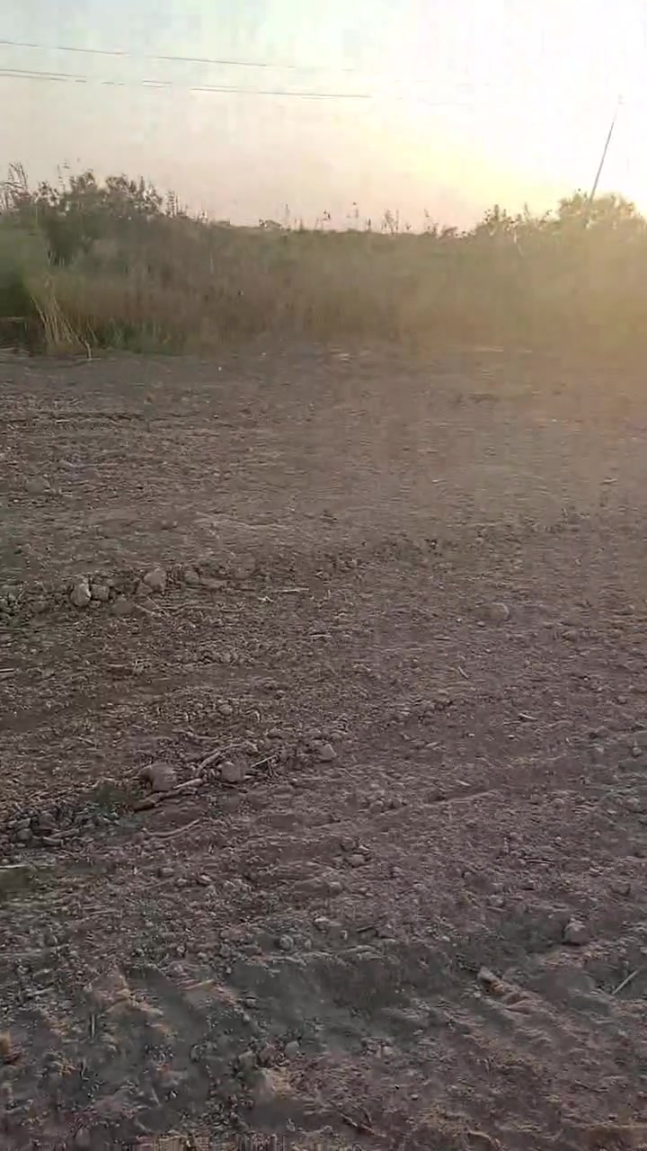 سلام عليكم ارض زراعيه البيع دير وسط باقي تفاصيل تصل ودلل/***********/#***********
