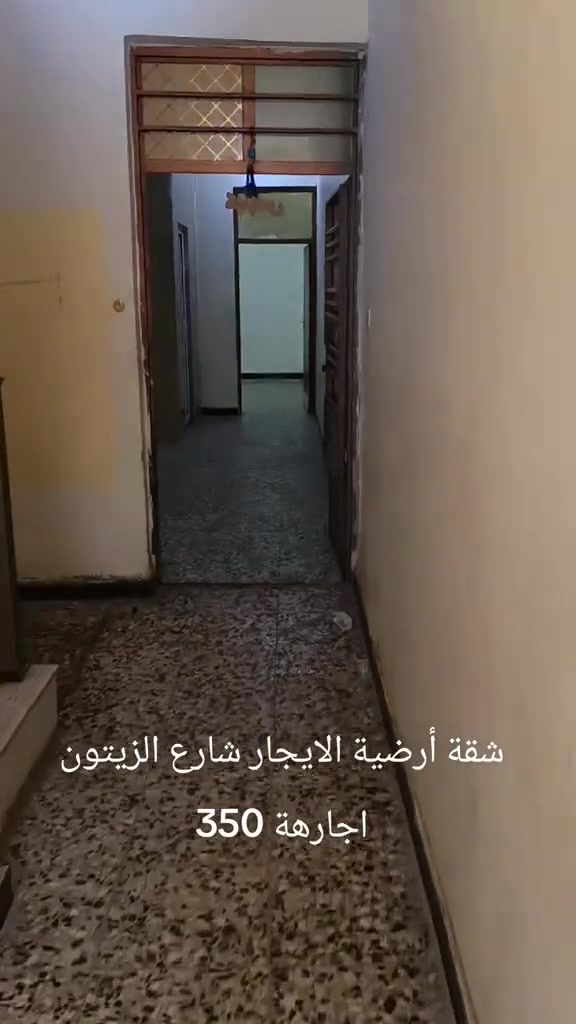 شارع الزيتون • للإيجار • لا تفاصيل