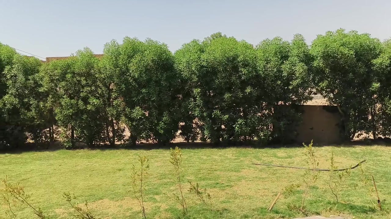 دار قديم بناء 2003 مع قطعه أرض مساحه1.650م خلف جامعة بابل يتوفر جميع الخدمات على الشارع مباشر اتصال أو واتساب *********** طابو زراعي سند 25 تحويل مباشر بسم المشتري
