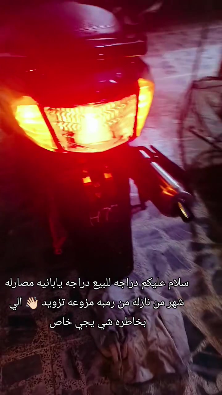 سكنس فحل • ياباني • مزودة