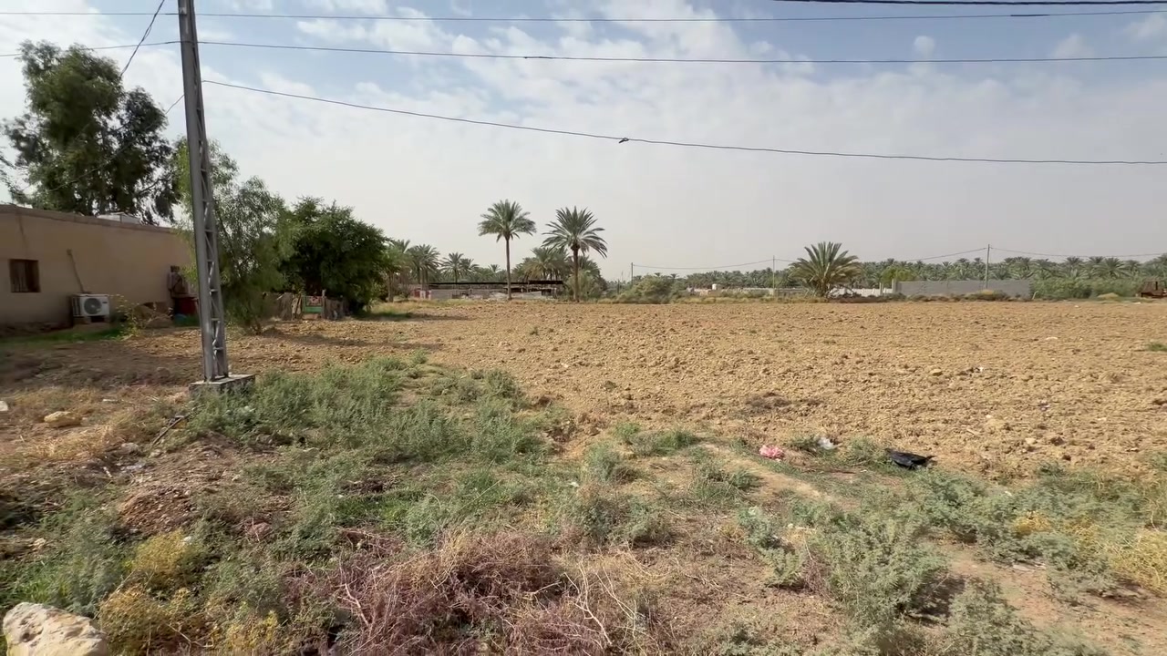 ٣ قطع • طابو صرف • ١٢٥٠م