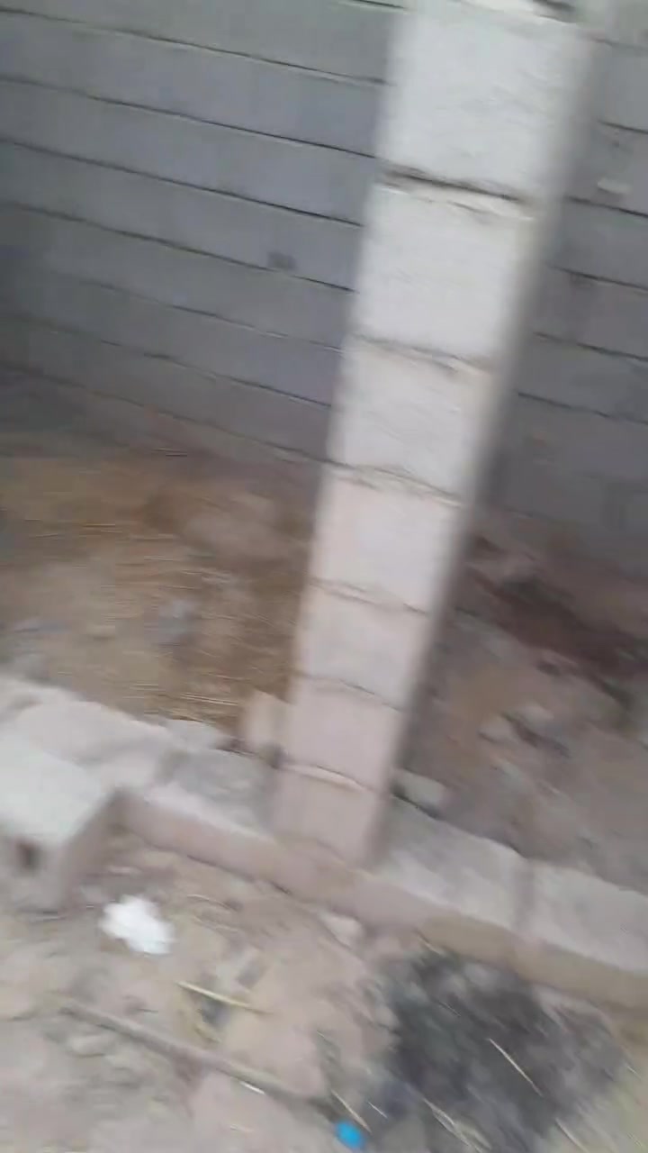 هيكل • ١٥٠م • ام الكرفس