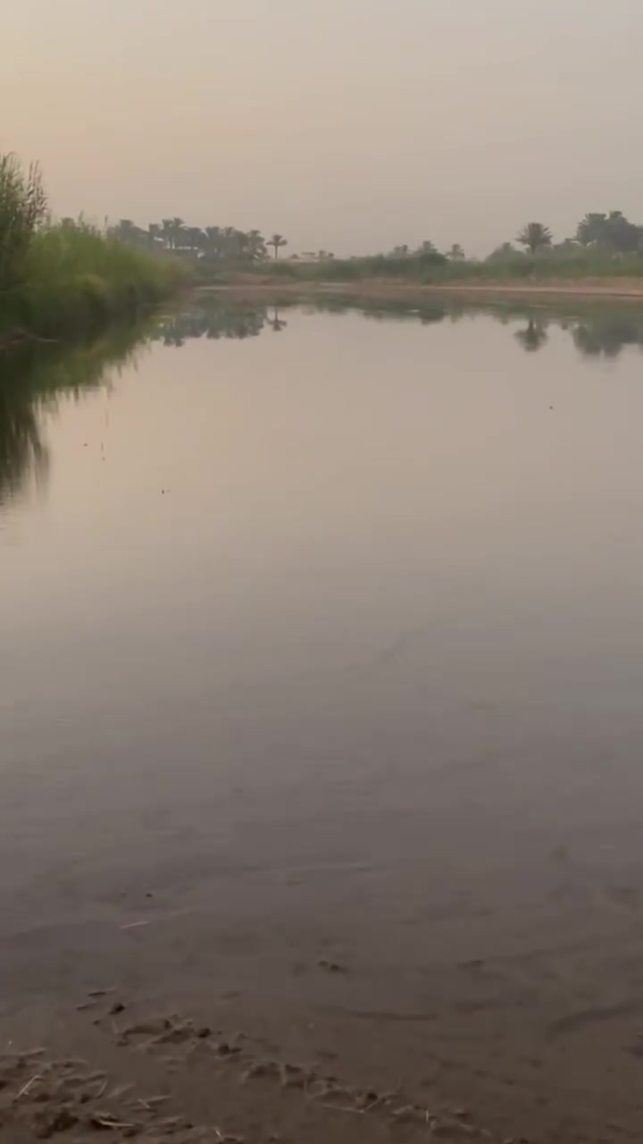 مطلوب لزمه تعديل ليزر جميع المحافظات العراق شغل شرط السكي اتصل بيك وتدلل ***********//***********
