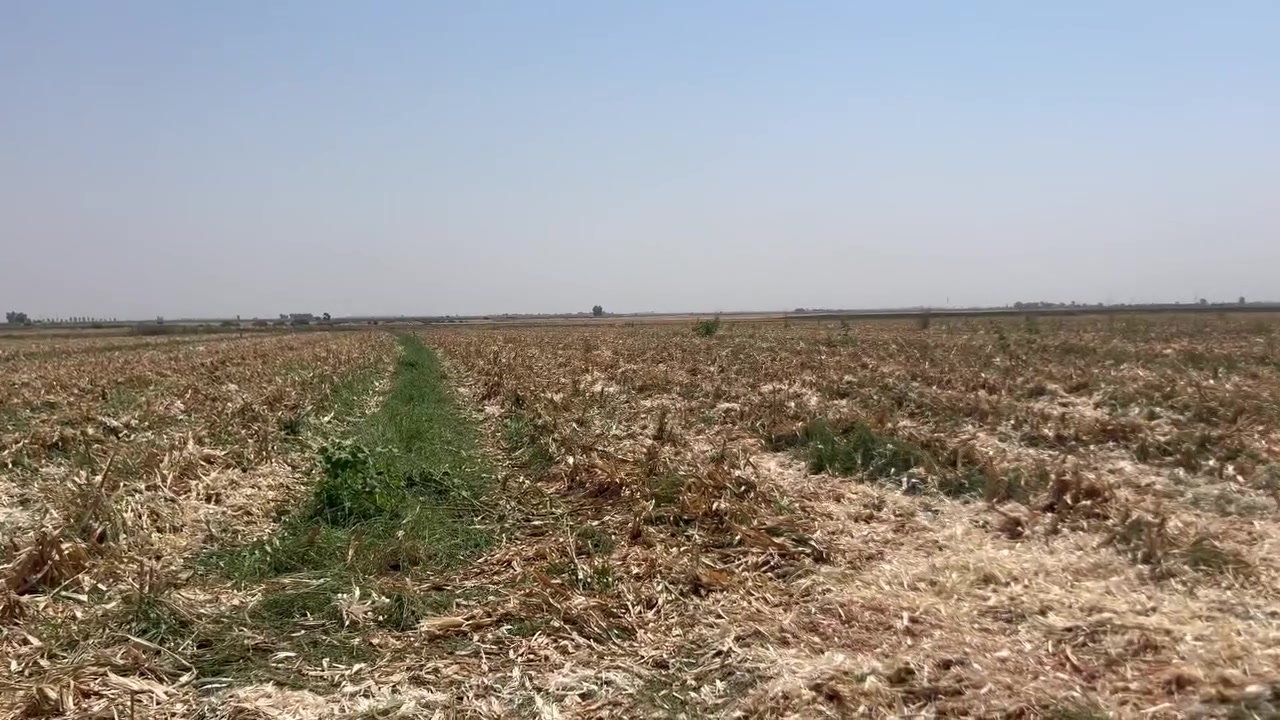 توجد هدة  للبيع ***********
