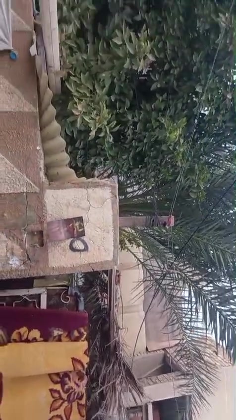 سلام عليكم للبيع والتفاصيل بل فديو طابو صرف التواصل عل رقم فقط *********** ابو ساره
السعر 175 مليون
