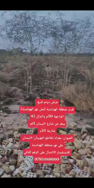 الهولندية • واجهة٥٠م • شارعين١٠م