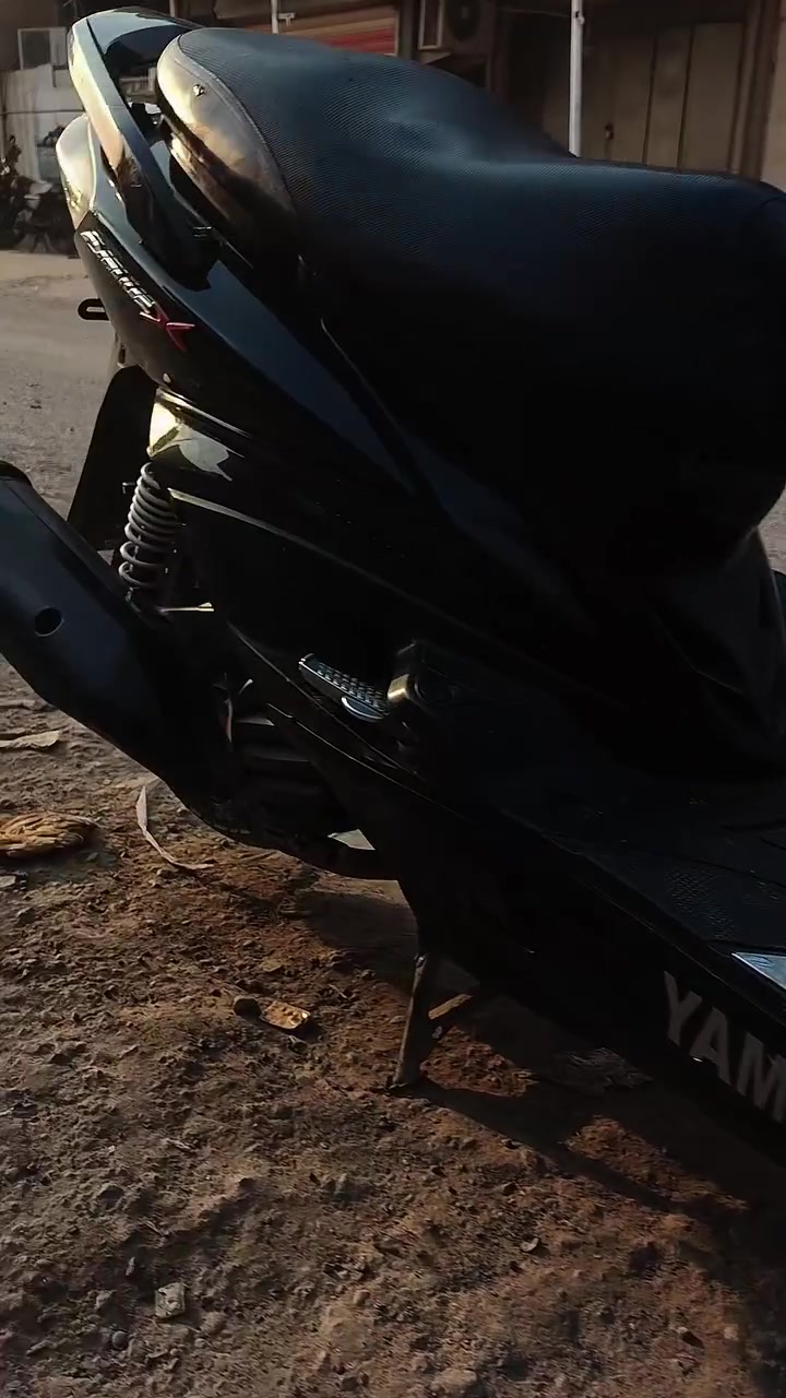 سكنس فحل • خمسينة • اوارق كامله