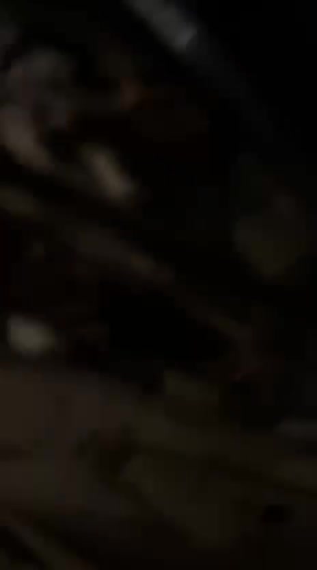 سلام عليكم دراجه سكنس فحل نوزل جديده من كهربائيات كله شغال قفل جنطه قفل ستيرن شغال مكينه لامجفته ولا بيها دخان ولا نضوح كفراتها بلاديه مابيهن كسر اوراقها كامل الراغب بل شراء
*********** 
سلام عليكم دراجه سكنس فحل نوزل جديده من كهربائيات كله شغال قفل جنطه قفل ستيرن شغال مكينه لامجفته ولا بيها دخان ولا نضوح كفراتها بلاديه مابيهن كسر اوراقها كامل الراغب بل شراء

سلام عليكم دراجه سكنس فحل نوزل جديده من كهربائيات كله شغال قفل جنطه قفل ستيرن شغال مكينه لامجفته ولا بيها دخان ولا نضوح كفراتها بلاديه مابيهن كسر اوراقها كامل الراغب بل شراء
بغداد/أي منطقة موجودة السكنس حتى يسهّل على الزبون الفحص والاستلام؟: 
حي القاهره