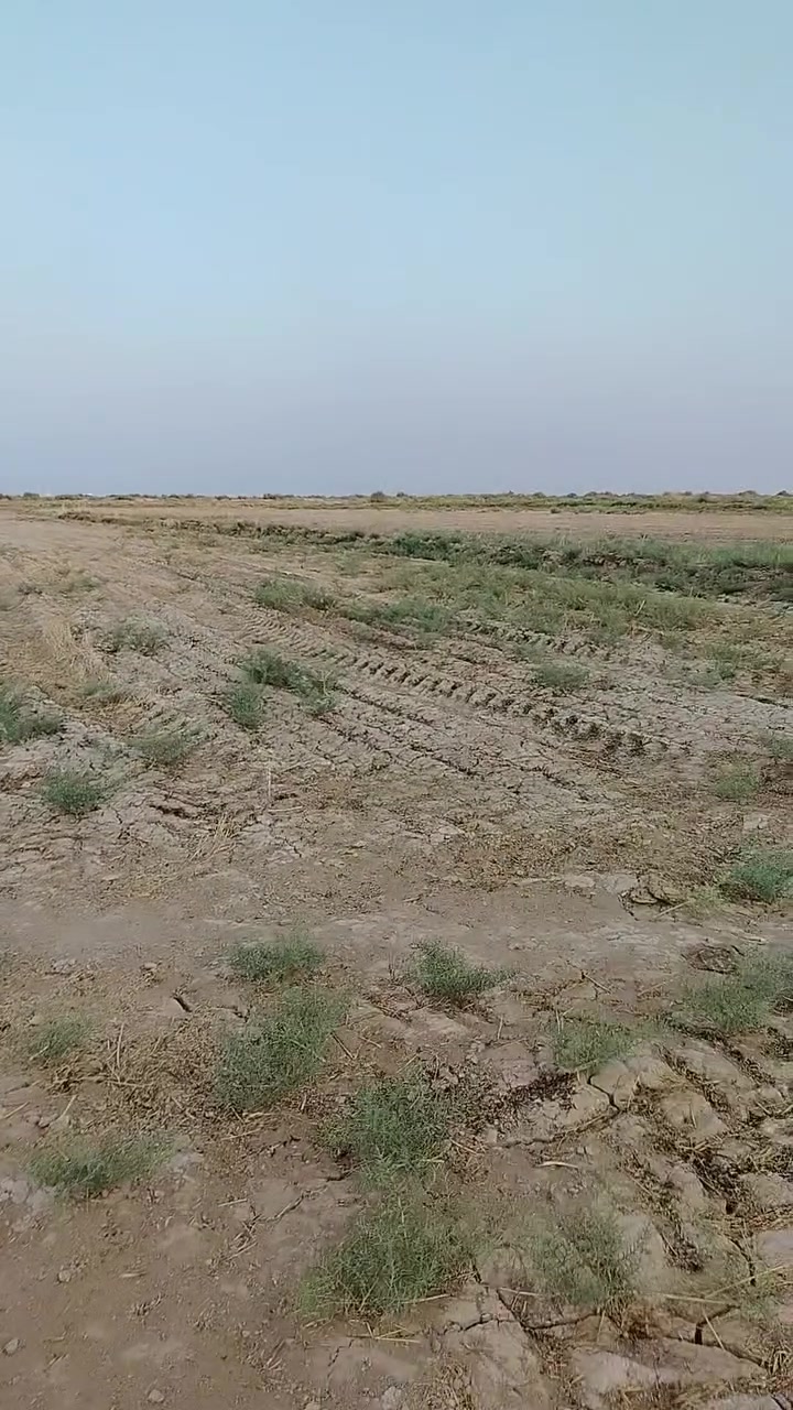 كاع ٨٠دونم عقد ١١٧ جاهزه ماي كهرباء ع شط تصلح سكن وزراعه او بحيرات العنوان قضاء كميت لاستفسار تصال ع رقم ***********او وتساب
