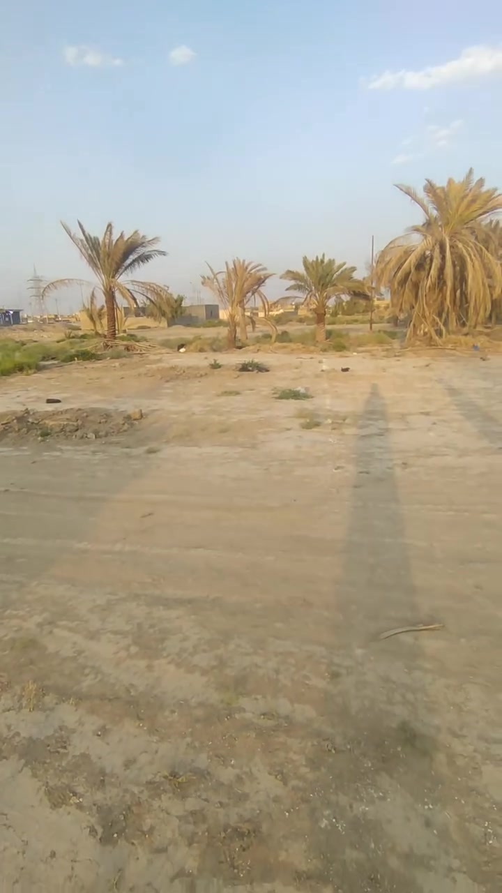 السلام عليكم شباب
قطعه زراعي للبيع المساحه ٢٠٠ متر
شارعها ١٠ متر 
رابع قطعه عن الشارع 
كهرباء ماي كلها بصفك 
 جامعه ذي قار منطقة الساده ال محمود مقابيل سنتر بغداد 
حياكم الله ومية هله الاستفسار 
***********
ابو الندم
