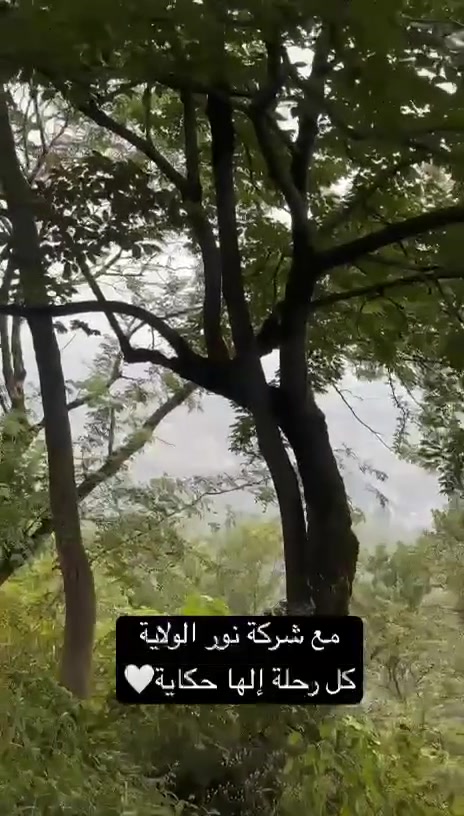 مازال العرض مستمر لحملتنا الى ايران يوم 8/25

برنامج قم ومشهد 11يوم بسعر 150
ً
وقم ومشهد وشمال 15 يوم بسعر 250

***********
***********
