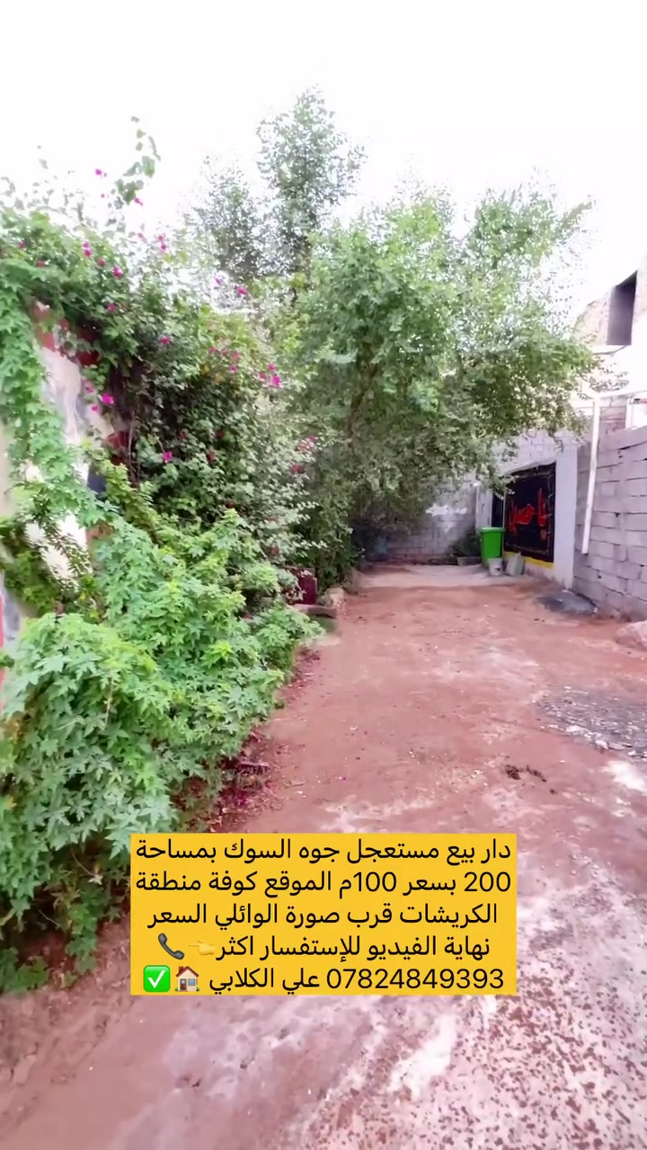 كوفة الكريشات • ٢٠٠م • للبيع