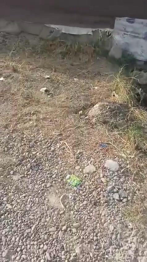 يالله بيت للبيع بالورديه منطقه البوحمير يبعد عن الشارع العام 50 متر  
طابو زراعي سند 25 باسم ابو البيت 
 تحويل مباشر مساحه 500 متر 
البيت بناء بلوك ابو گيره وصب كونكريت م
يحتوي على غرفتين واستقبال وكلدور ومطبخ وصحيات داخليه وخارجيه 
البيت نظيف جدا ومساحه البناء 200 متر يحتوي على كافة الخدمات 
////**************-******////*******////
السعر 95 وبي مجال 
//********************//////************///
لليرغب بالشراء او عرض عقاره للبيع او الايجار مرتجعة مكتب عقارات حسين المعموري الكائن في البكرلي قرب جامع سلمان المحمدي 
او الاتصال على الرقم *********** او واتساب
