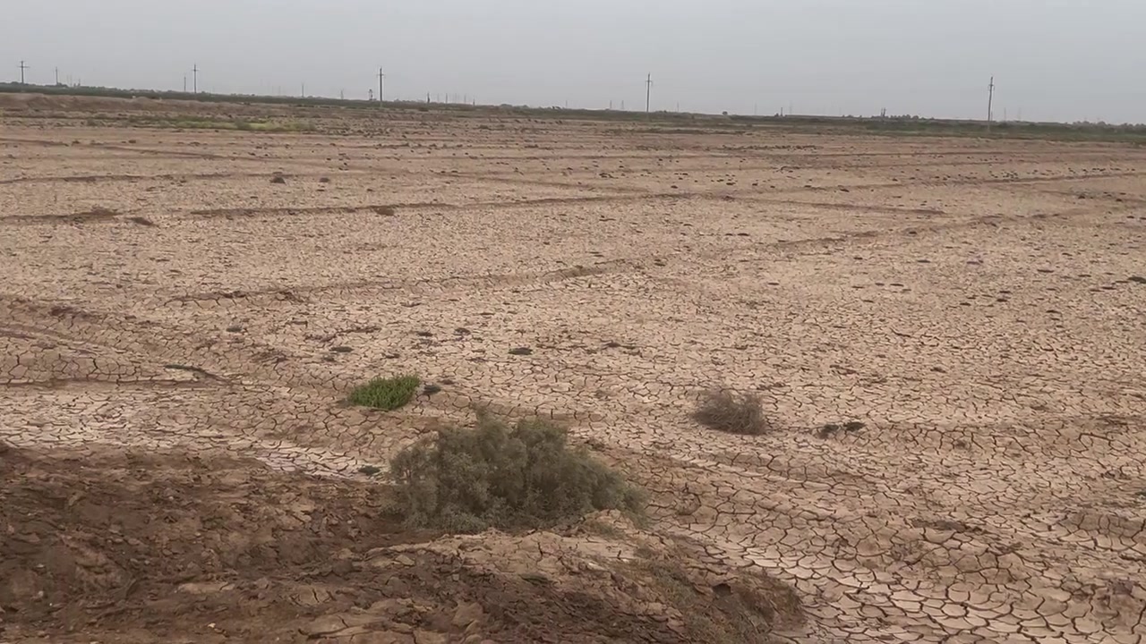 عقد زراعي • للبيع • المغاربه الشاخه الوله