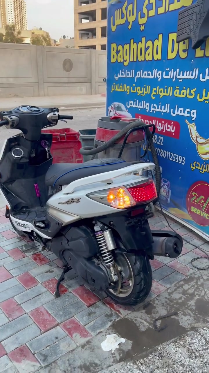 سكنس فحل • گولد • كفاله عامه