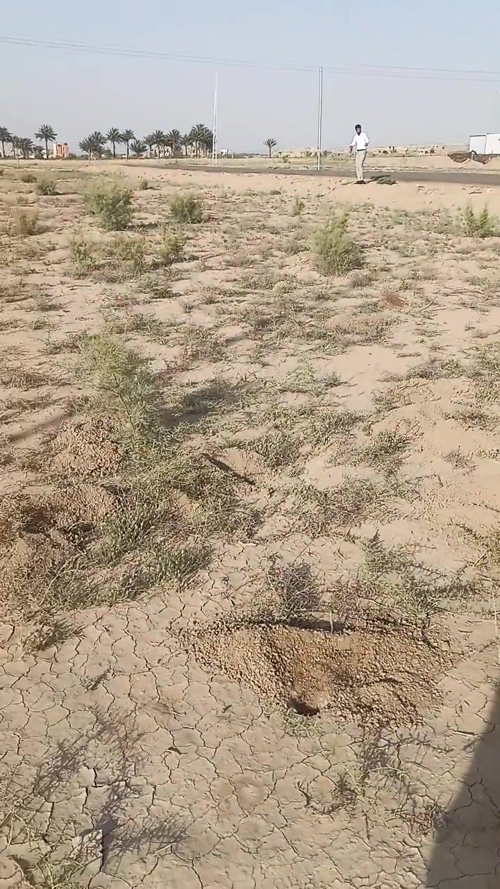 سلام عليكم قطعة أرض زراعي سند 25 مقابل القوس مجمع بيتي سنية 600,ركن البيع *********** وساب
