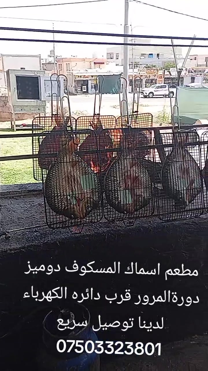 مطعم اسماك المسكوف دوميز دورةالمرور قرب دائره الكهرباء لدينا توصيل سريع ***********
