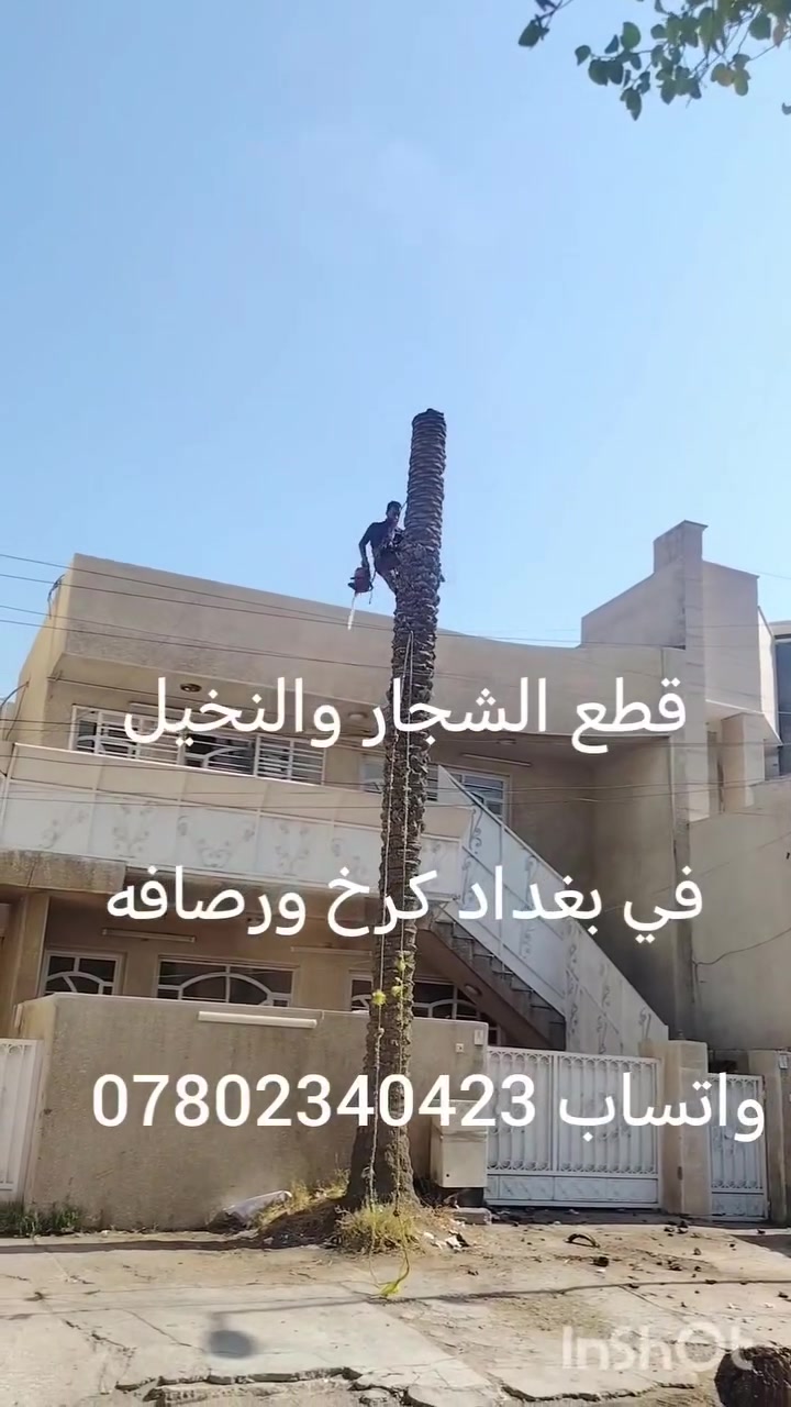 📢 خدمة قطع الأشجار ونخيل   في بغداد – الكرخ والرصافة 🌴✂️واتساب ***********

