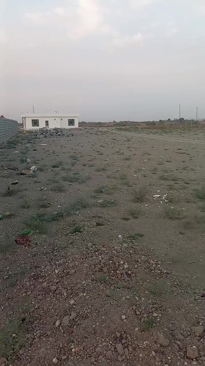 الشيخ عامر • دونم • ٢٥٠٠م