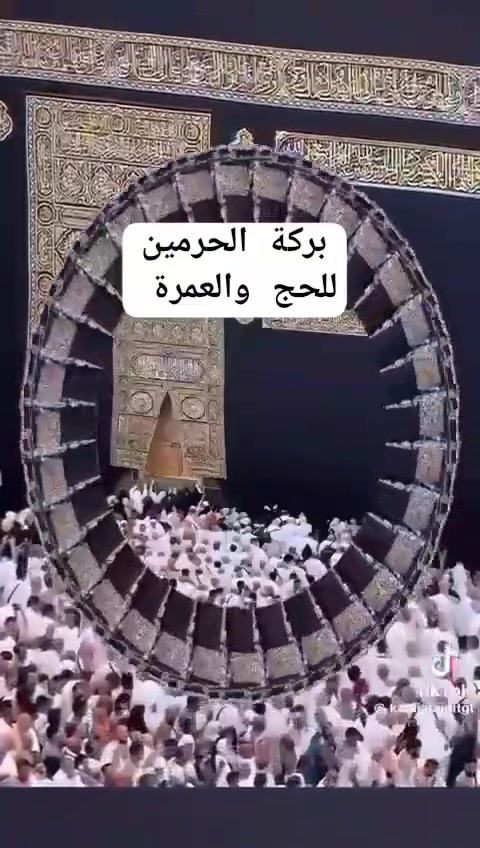 عمرة جمادي ٢٠٢٦ • بغداد السيدية • برامج ٥-٧-١٠-٢٠يوم