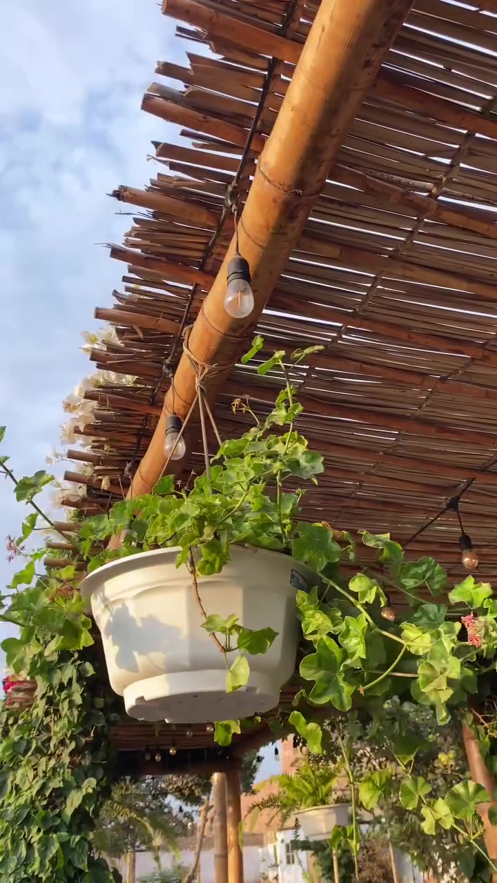 السلام عليكم 🤝
متوفر ثيل هندي و فرنسي و إيطالي متوفر كوادر تجهيز حدائق دفن وتعديل و عمل جميع الديكورات وتنصيب منظومة المرشات المخفية والضاهره  وعمل سقائف الخيزران بأنسب الأسعار .. تواصل معنا  على الرقم*********** 
***********و مراسله على الواتس اب

