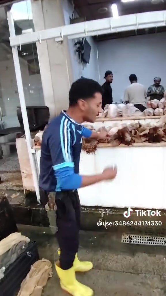 باجات غنم • كراعين عجل • توصيل الفلوجه