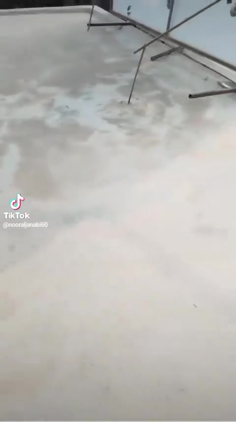 شغل درجة اولى • مانع رطوبة • عزل سطح