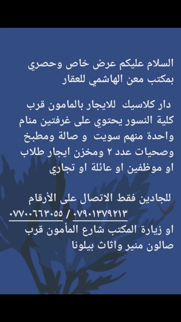الامامون • قرب كلية النسور • غرفتين