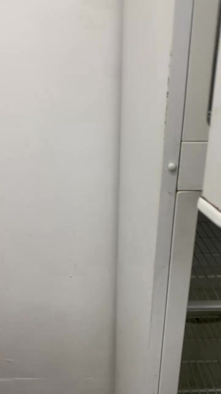 السلام عليكم ورحمة الله وبركاته ثلاجه للبيع نوعيتها توست  جديده مستعمله شي قليل التفاصيل  والسعر واتساب ***********
