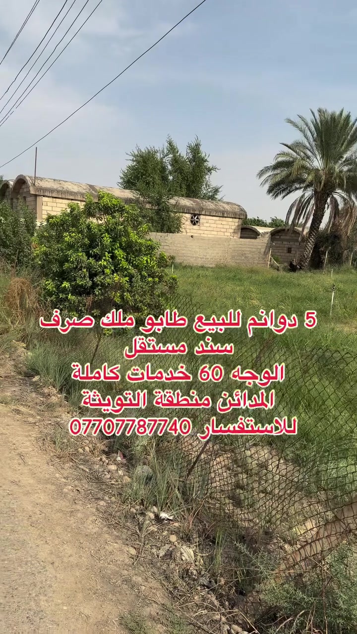 ٥ دوانم • المدائن التويثة • طابو ملك صرف